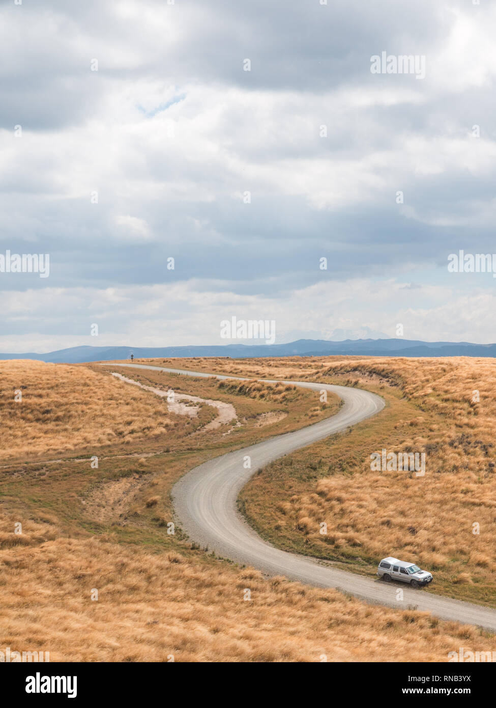 Curving road par pays sur Ngamatea à buttes, à l'intérieur des terres Mokai Patea, Central North Island, Nouvelle-Zélande Banque D'Images