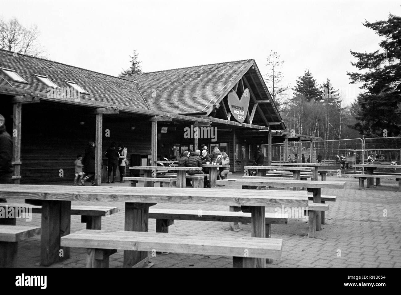 Alice Holt cafe et le syndicat d'initiative, Farnham, Surrey, Angleterre, Royaume-Uni. Banque D'Images