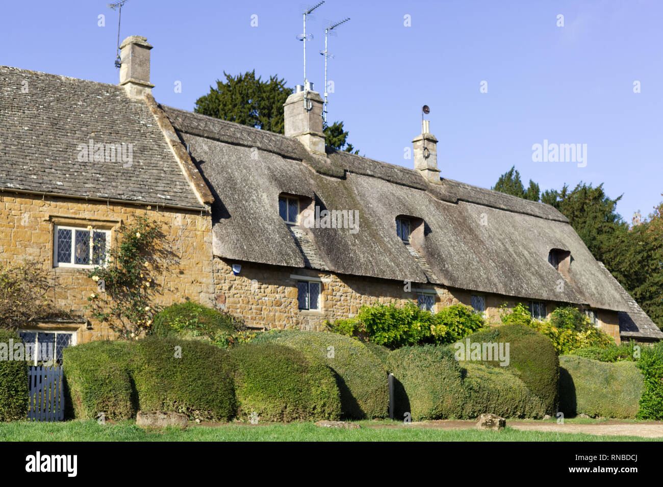 Chaumière traditionnelle dans la région de Great Tew, Cotswolds, Oxfordshire, Banque D'Images