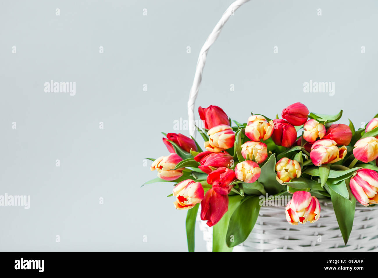 Panier de Fleurs, bouquet de tulipes sur fond gris. Carte Journée des femmes. Banque D'Images