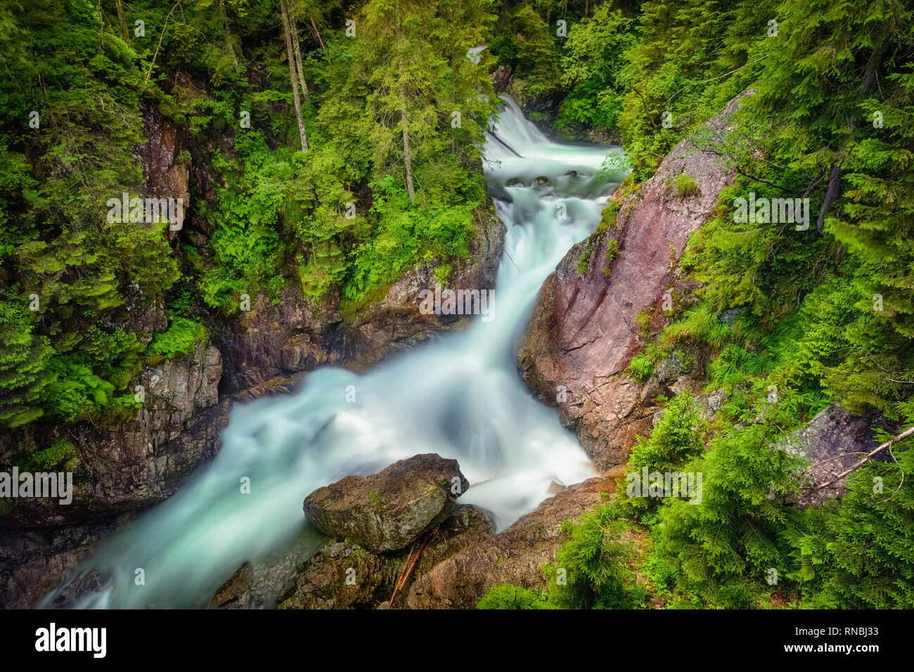 Cascades - cascades de Mickiewicz dans les Hautes Tatras sur le ruisseau Roztoka, Malopolskie Banque D'Images