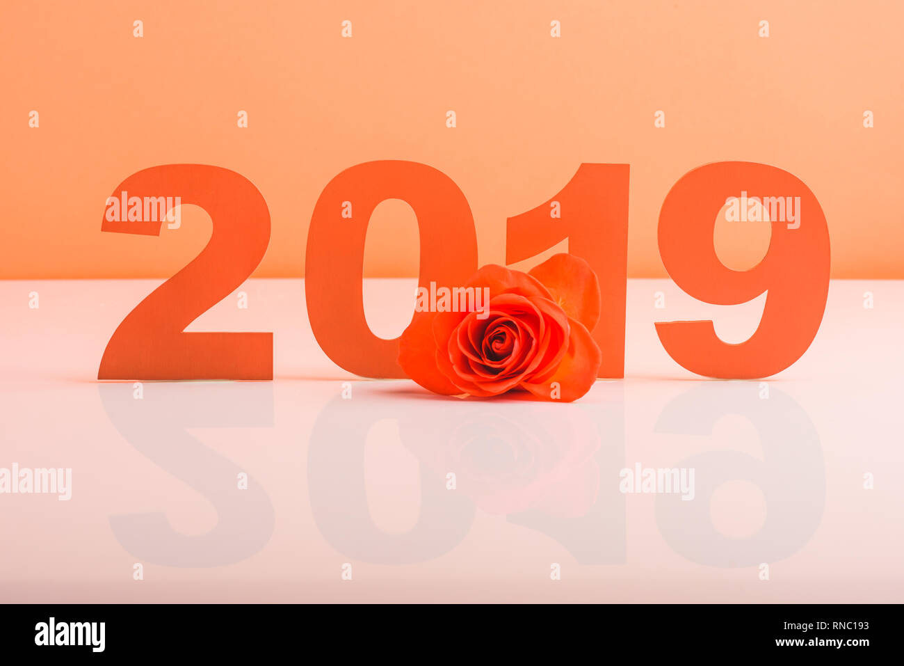 Coupe papier corail 2019 nombres et rose fleur sur la surface blanche, couleur de concept 2019 Banque D'Images