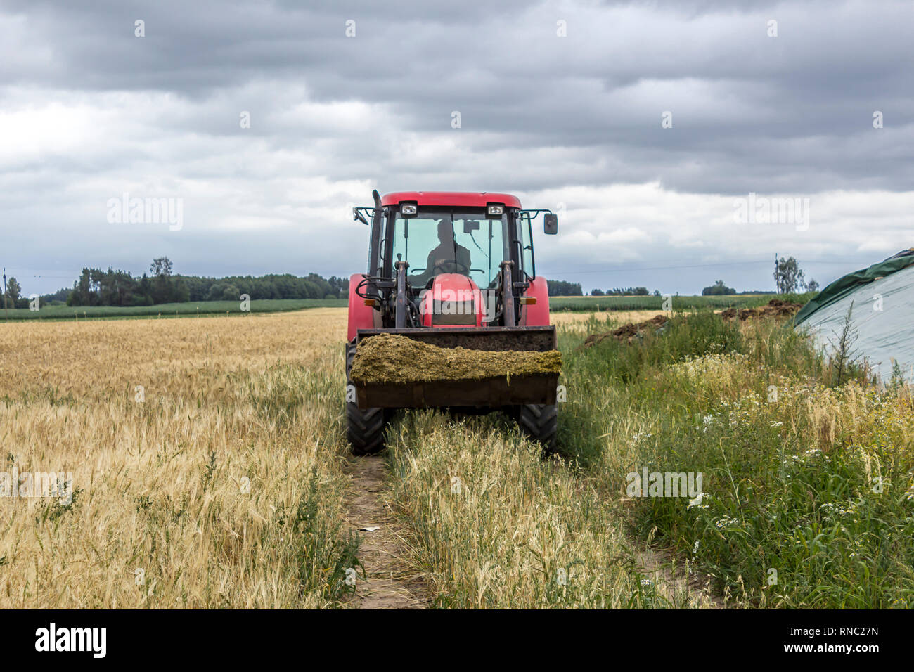 Tracteur avec chargeur universel avant marqué feed pour les vaches. Vue avant d'une machine agricole. Équipement nécessaire pour une exploitation laitière. Banque D'Images