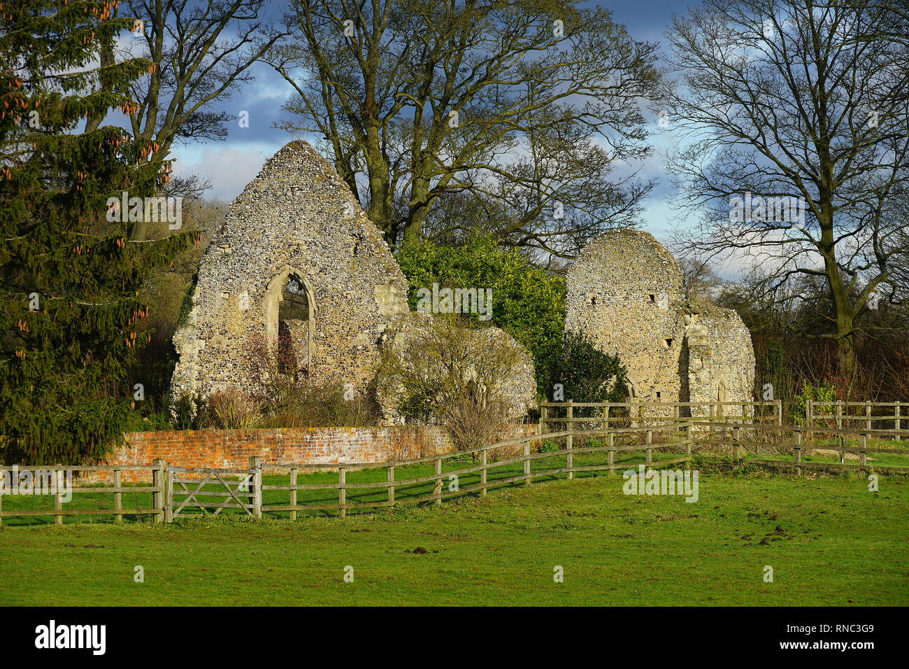 Les ruines pittoresques de St Etheldreda's Church, Chesfield près de Graveley, Hertfordshire Banque D'Images