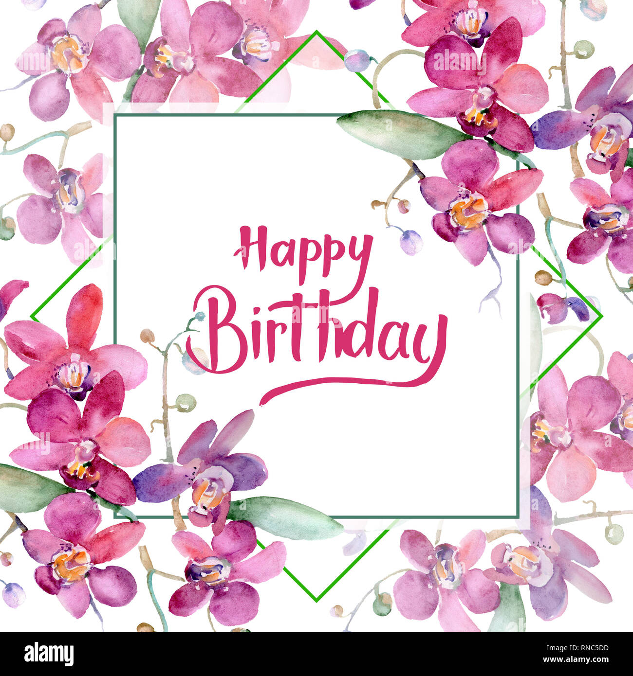 Floral Bouquet Orchidee Rose Fleur Botanique Contexte Aquarelle Illustration Set Bordure De Cadre Carre Ornement Photo Stock Alamy