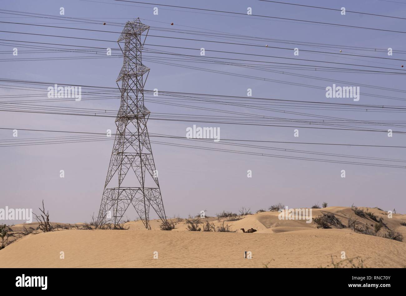 Les grandes lignes de transport de l'électricité de la Fondation Mohammed bin Rashid Al Maktoum parc solaire dans l'émirat. L'énorme installation solaire est situé à environ 50 km au sud de la ville de Dubaï au milieu du désert. (12 janvier 2019) | dans le monde entier Banque D'Images