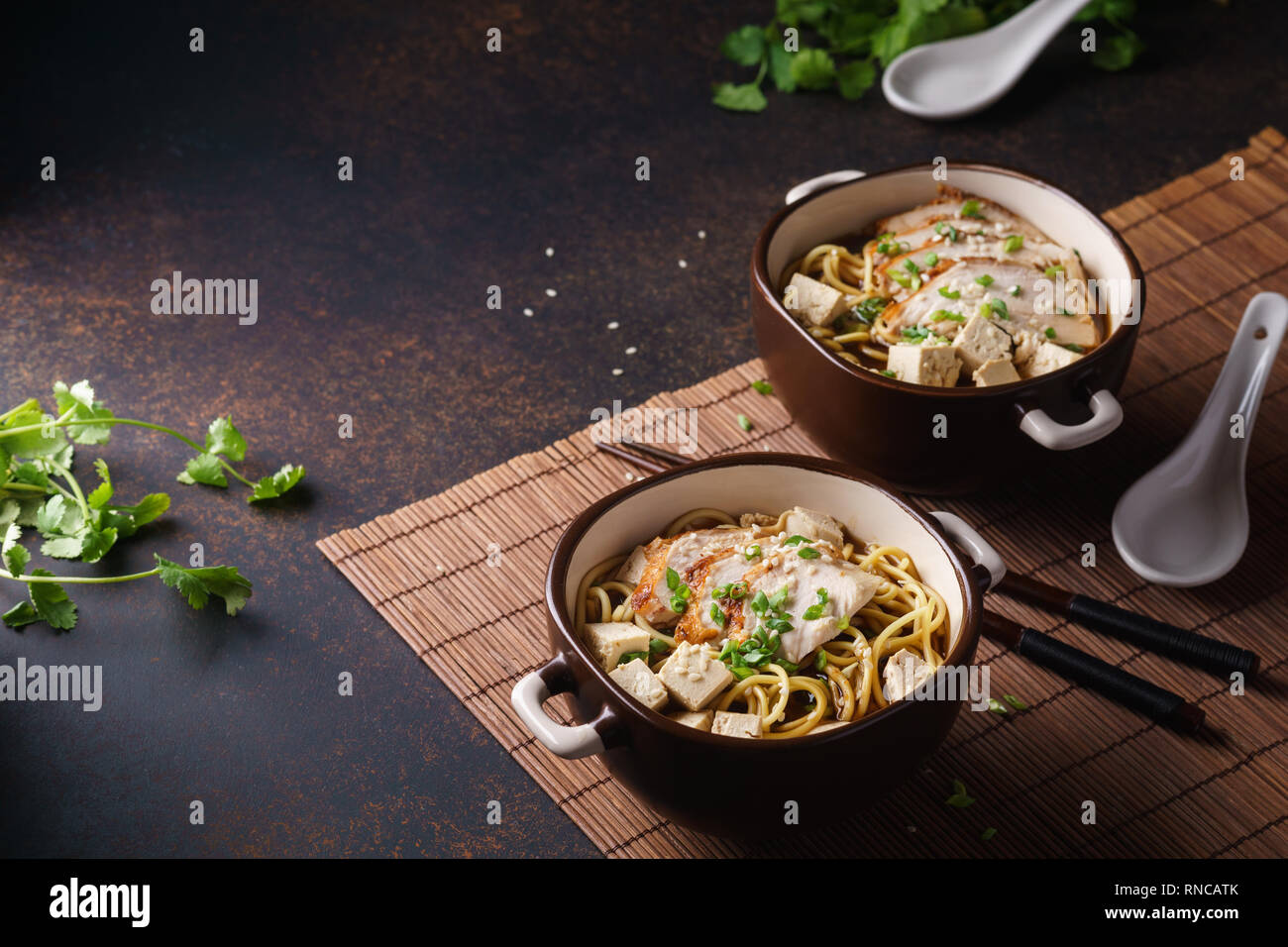 Bol de ramen japonais avec le poulet et le tofu. Fond sombre. Banque D'Images