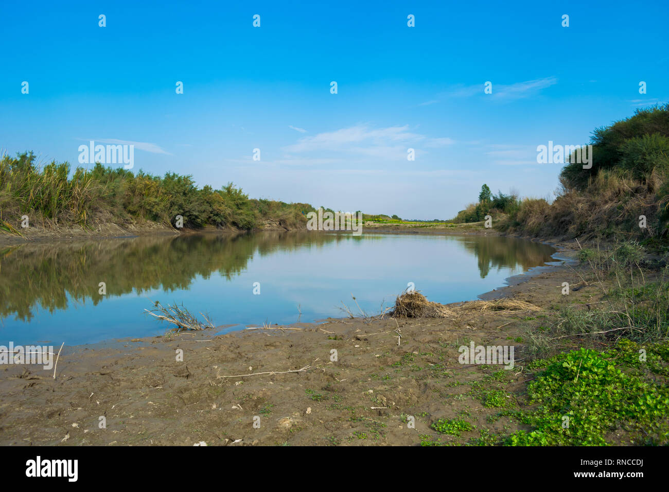 Lac d'eau bleu dans ajungle,reflet dans l'eau. Banque D'Images