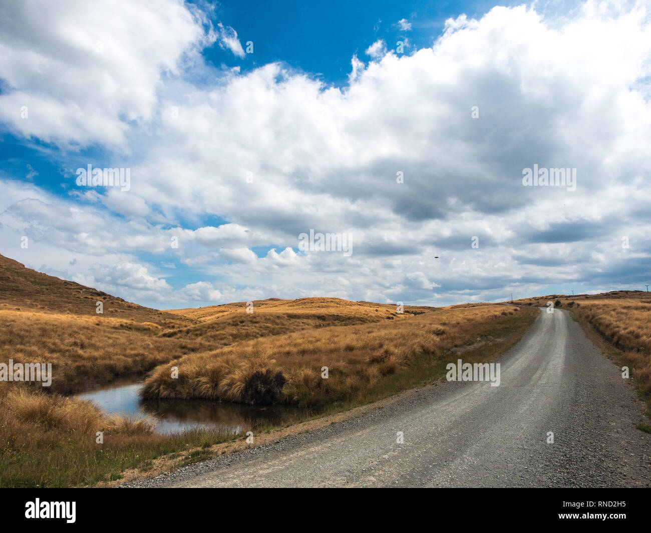 Étang à côté de la route de gravier non scellées sur Ngamatea , pays de buttes, Inland Mokai Patea, Central North Island, Nouvelle-Zélande Banque D'Images