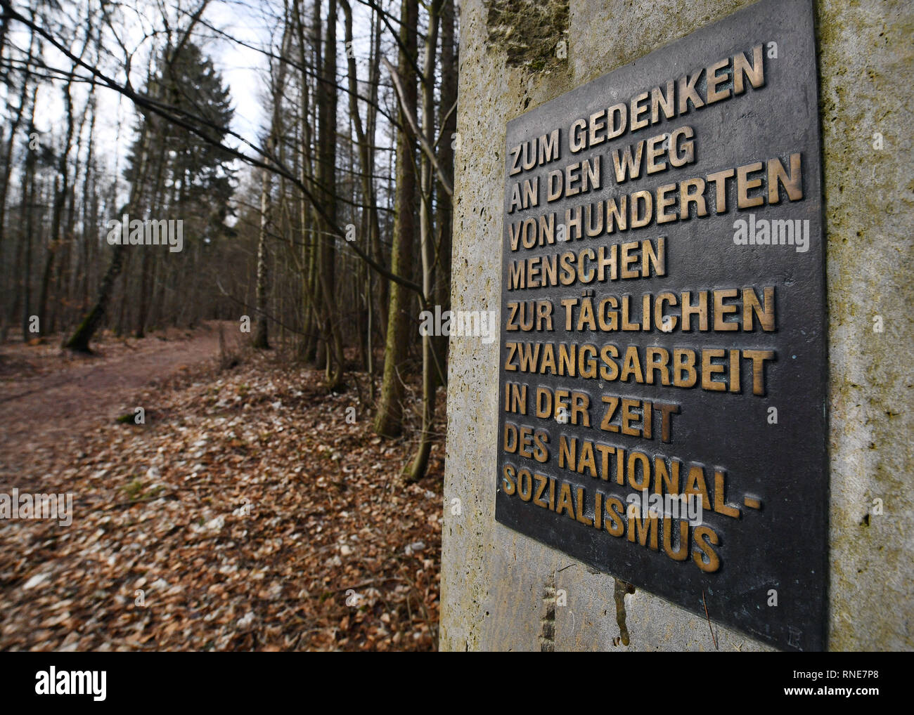 13 février 2019, la Thuringe, Mühlhausen : une pierre avec l'inscription 'commémorant la voie de centaines de personnes chaque jour de travail forcé dans l'époque du national-socialisme" peut être vu au bord de l'Mühlhäuser Stadtwald. Après des discussions sur l'emplacement de la "Bratwurst" Musée sur un ancien site du camp de concentration de Mühlhausen, la ville prévoit d'approuver le bâtiment près de l'emplacement initialement prévu. Mais le conseil municipal n'a pas encore d'accord. Maintenant le site prévu est situé juste au nord de l'ancien camp satellite du camp de concentration de Buchenwald, en face de la forêt. Pho Banque D'Images