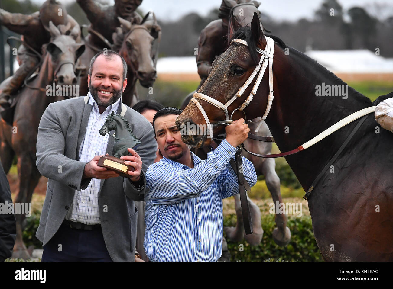 Hot Springs, Arkansas, USA. Feb 18, 2019. 18 février 2019 - # 6 Super Steed avec jockey Terry J. Thompson gagne le Sud-ouest de course à Oaklawn Park le 18 février 2019 à Hot Springs, Arkansas. (Photo par Ted McClenning/Eclipse/Cal Sportswire Sport Media) Credit : csm/Alamy Live News Banque D'Images