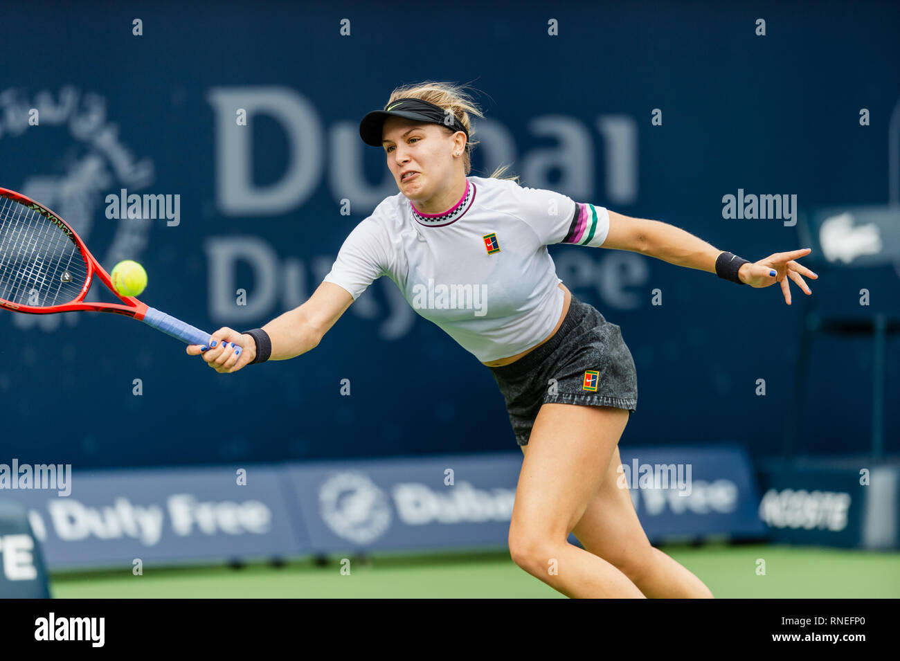 Dubaï, Émirats arabes unis. Feb 19, 2019. Eugénie Bouchard du Canada dans l'action dans le deuxième tour contre Simona de Roumanie : au cours de la Dubai Duty Free Tennis championnat au stade de tennis international de Dubaï, DUBAÏ, ÉMIRATS ARABES UNIS Le 19 février 2019. Photo de Grant l'hiver. Credit : UK Sports Photos Ltd/Alamy Live News Banque D'Images