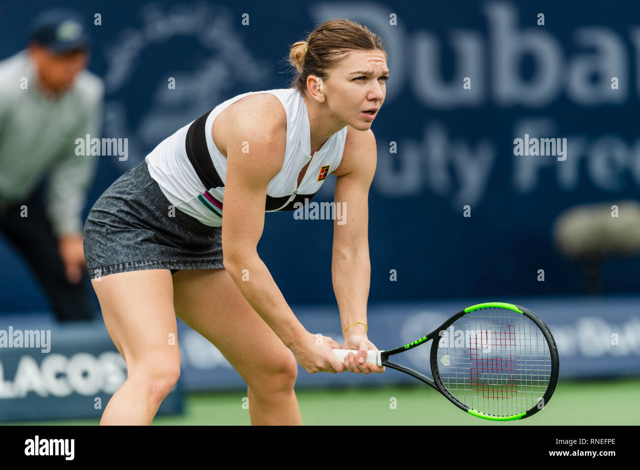 Dubaï, Émirats arabes unis. Feb 19, 2019. De : Simona Roumanie attend dans le deuxième tour contre Eugenie Bouchard du Canada pendant le Dubai Duty Free Tennis championnat au stade de tennis international de Dubaï, DUBAÏ, ÉMIRATS ARABES UNIS Le 19 février 2019. Photo de Grant l'hiver. Credit : UK Sports Photos Ltd/Alamy Live News Banque D'Images