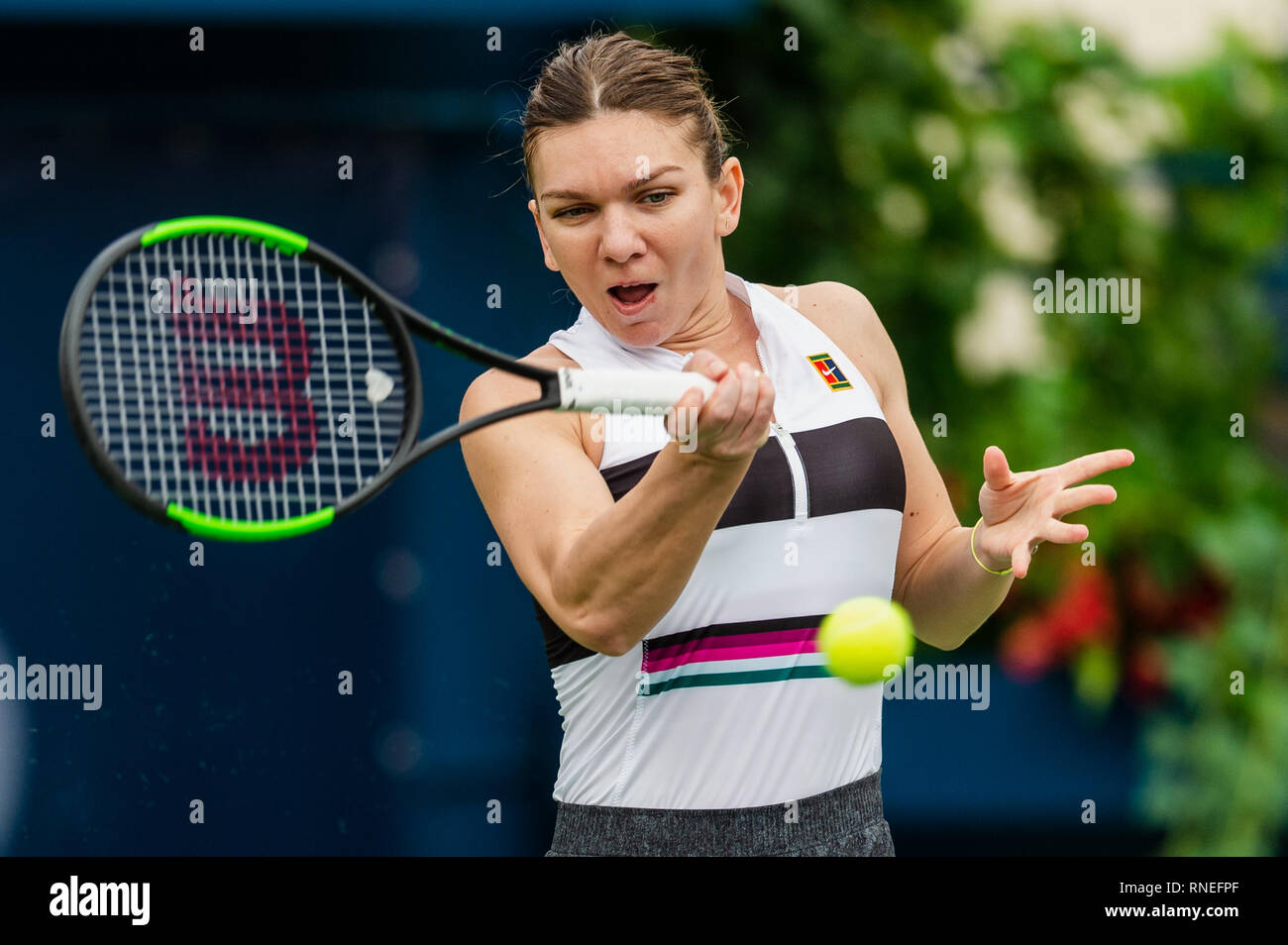 Dubaï, Émirats arabes unis. Feb 19, 2019. De la Roumanie : Simona joue une balle dans le deuxième tour contre Eugenie Bouchard du Canada pendant le Dubai Duty Free Tennis championnat au stade de tennis international de Dubaï, DUBAÏ, ÉMIRATS ARABES UNIS Le 19 février 2019. Photo de Grant l'hiver. Credit : UK Sports Photos Ltd/Alamy Live News Banque D'Images