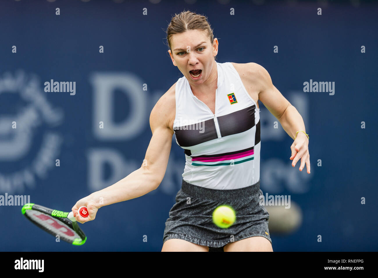 Dubaï, Émirats arabes unis. Feb 19, 2019. De la Roumanie : Simona en action dans le deuxième tour contre Eugenie Bouchard du Canada pendant le Dubai Duty Free Tennis championnat au stade de tennis international de Dubaï, DUBAÏ, ÉMIRATS ARABES UNIS Le 19 février 2019. Photo de Grant l'hiver. Credit : UK Sports Photos Ltd/Alamy Live News Banque D'Images