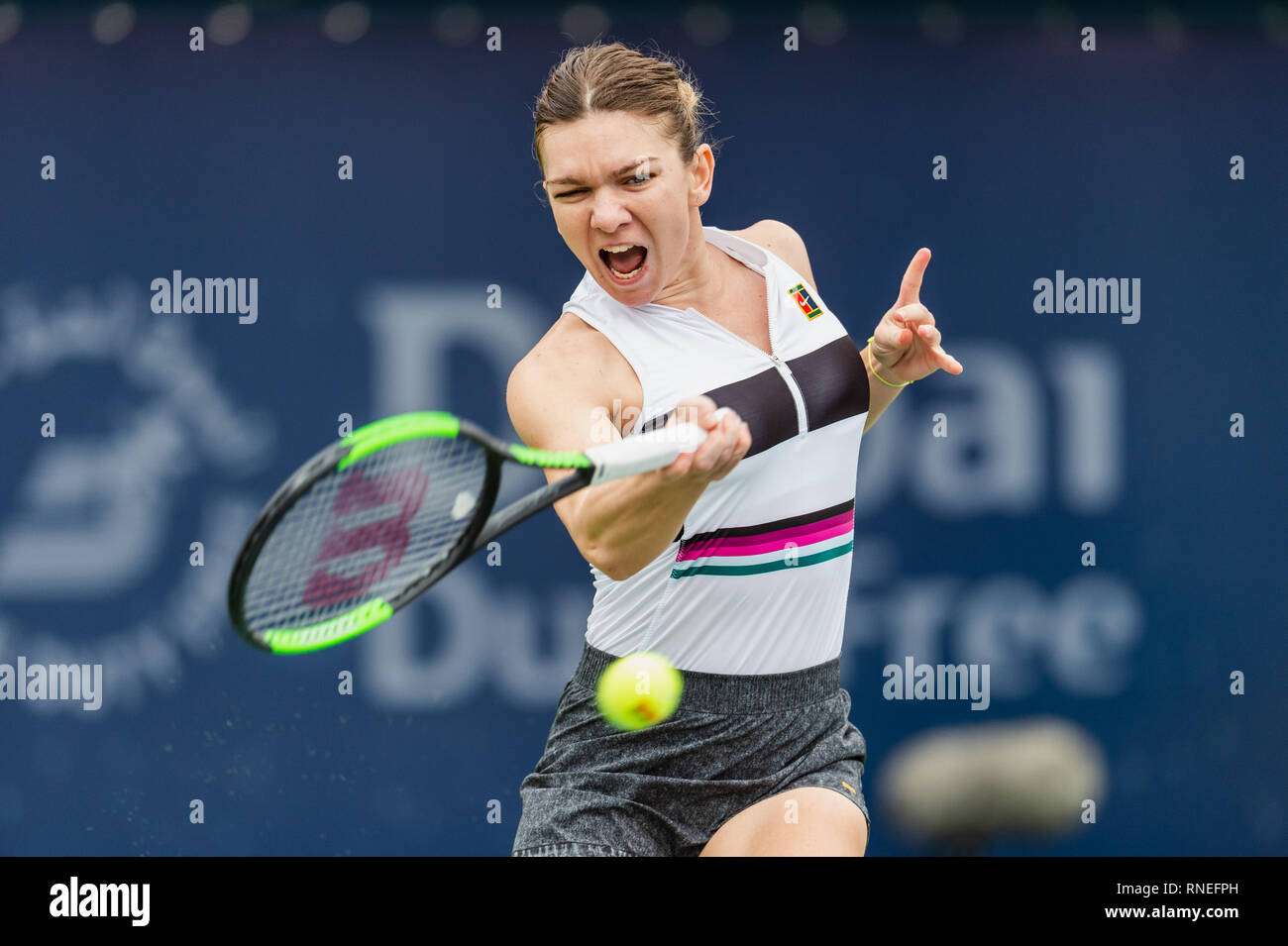 Dubaï, Émirats arabes unis. Feb 19, 2019. De la Roumanie : Simona joue un coup de coup droit dans le deuxième tour contre Eugenie Bouchard du Canada pendant le Dubai Duty Free Tennis championnat au stade de tennis international de Dubaï, DUBAÏ, ÉMIRATS ARABES UNIS Le 19 février 2019. Photo de Grant l'hiver. Credit : UK Sports Photos Ltd/Alamy Live News Banque D'Images