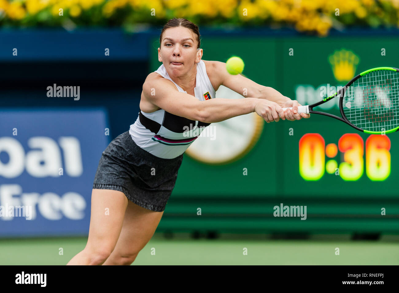 Dubaï, Émirats arabes unis. Feb 19, 2019. De : Simona Roumanie s'étend sur la balle dans le deuxième tour contre Eugenie Bouchard du Canada pendant le Dubai Duty Free Tennis championnat au stade de tennis international de Dubaï, DUBAÏ, ÉMIRATS ARABES UNIS Le 19 février 2019. Photo de Grant l'hiver. Credit : UK Sports Photos Ltd/Alamy Live News Banque D'Images