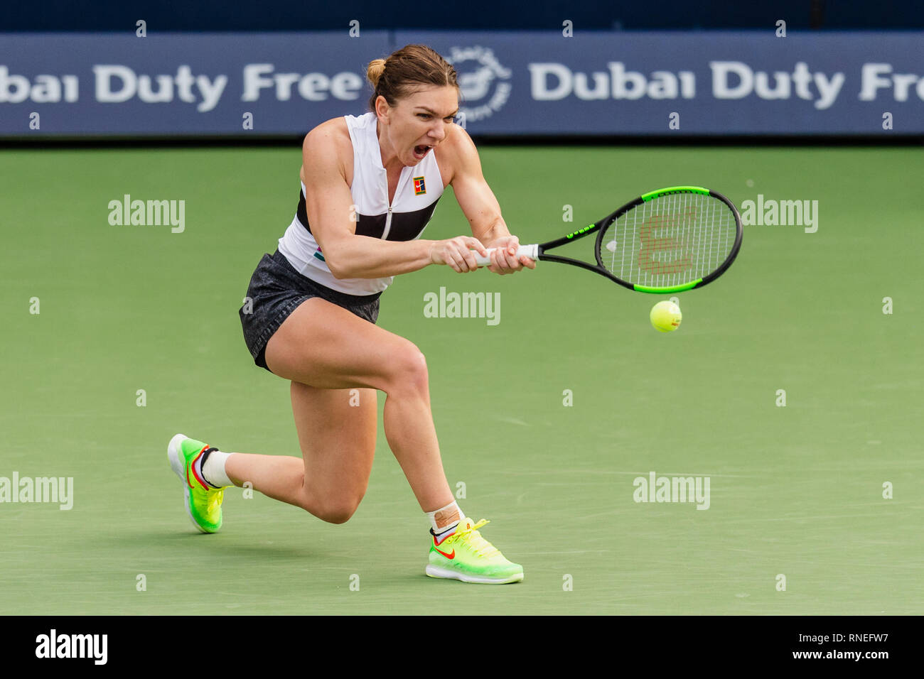 Dubaï, Émirats arabes unis. Feb 19, 2019. De la Roumanie : Simona en action dans le deuxième tour contre Eugenie Bouchard du Canada pendant le Dubai Duty Free Tennis championnat au stade de tennis international de Dubaï, DUBAÏ, ÉMIRATS ARABES UNIS Le 19 février 2019. Photo de Grant l'hiver. Credit : UK Sports Photos Ltd/Alamy Live News Banque D'Images