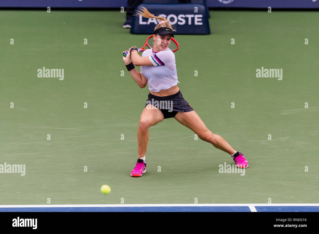 Dubaï, Émirats arabes unis. Feb 19, 2019. Eugénie Bouchard du Canada dans l'action dans le deuxième tour contre Simona de Roumanie : au cours de la Dubai Duty Free Tennis championnat au stade de tennis international de Dubaï, DUBAÏ, ÉMIRATS ARABES UNIS Le 19 février 2019. Photo de Grant l'hiver. Credit : UK Sports Photos Ltd/Alamy Live News Banque D'Images