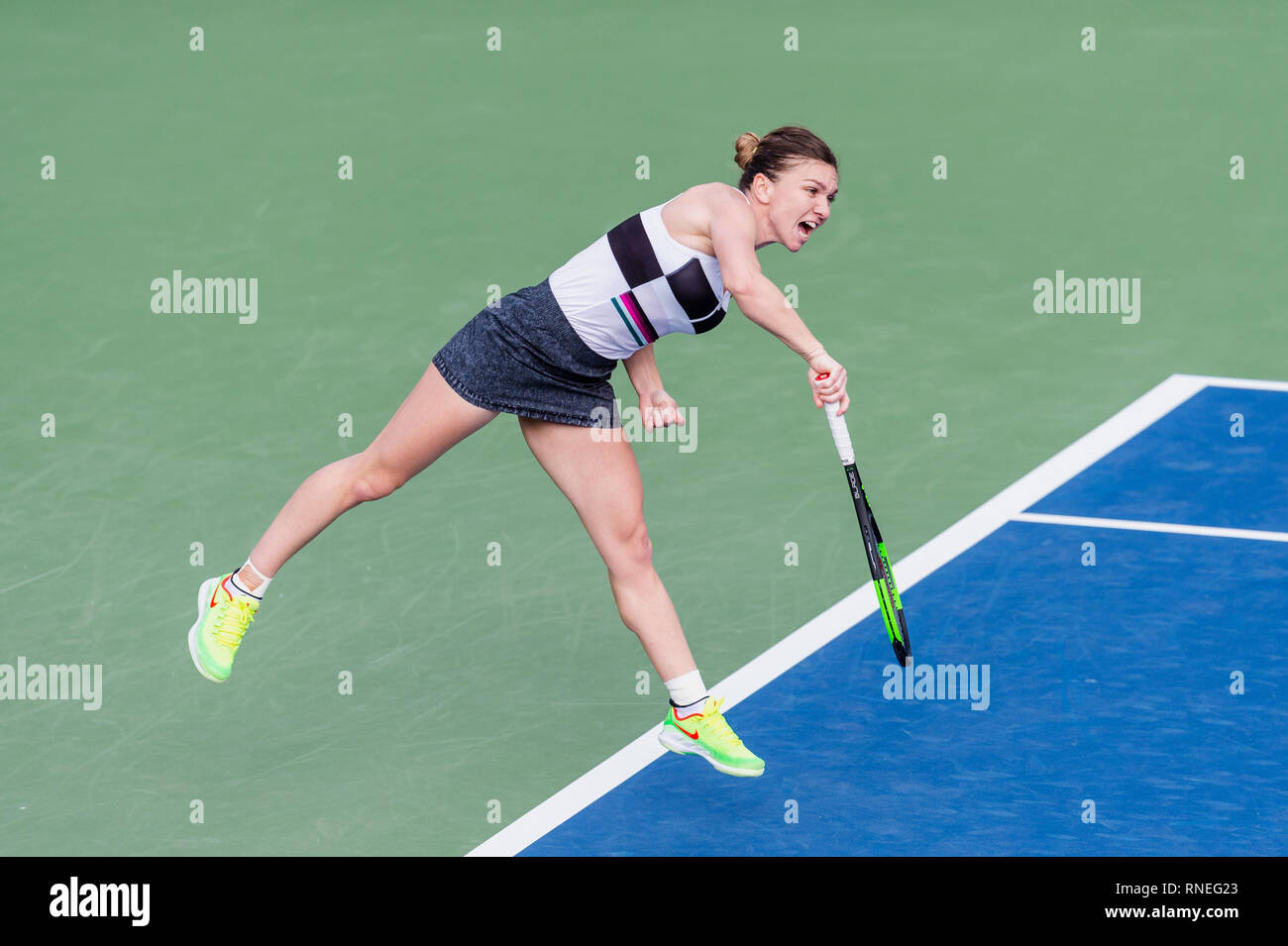 Dubaï, Émirats arabes unis. Feb 19, 2019. Simona de Roumanie en battant : l'action dans le deuxième tour contre Eugenie Bouchard du Canada pendant le Dubai Duty Free Tennis championnat au stade de tennis international de Dubaï, DUBAÏ, ÉMIRATS ARABES UNIS Le 19 février 2019. Photo de Grant l'hiver. Credit : UK Sports Photos Ltd/Alamy Live News Banque D'Images