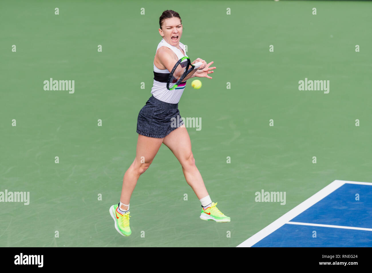 Dubaï, Émirats arabes unis. Feb 19, 2019. De la Roumanie : Simona joue une balle dans le deuxième tour contre Eugenie Bouchard du Canada pendant le Dubai Duty Free Tennis championnat au stade de tennis international de Dubaï, DUBAÏ, ÉMIRATS ARABES UNIS Le 19 février 2019. Photo de Grant l'hiver. Credit : UK Sports Photos Ltd/Alamy Live News Banque D'Images