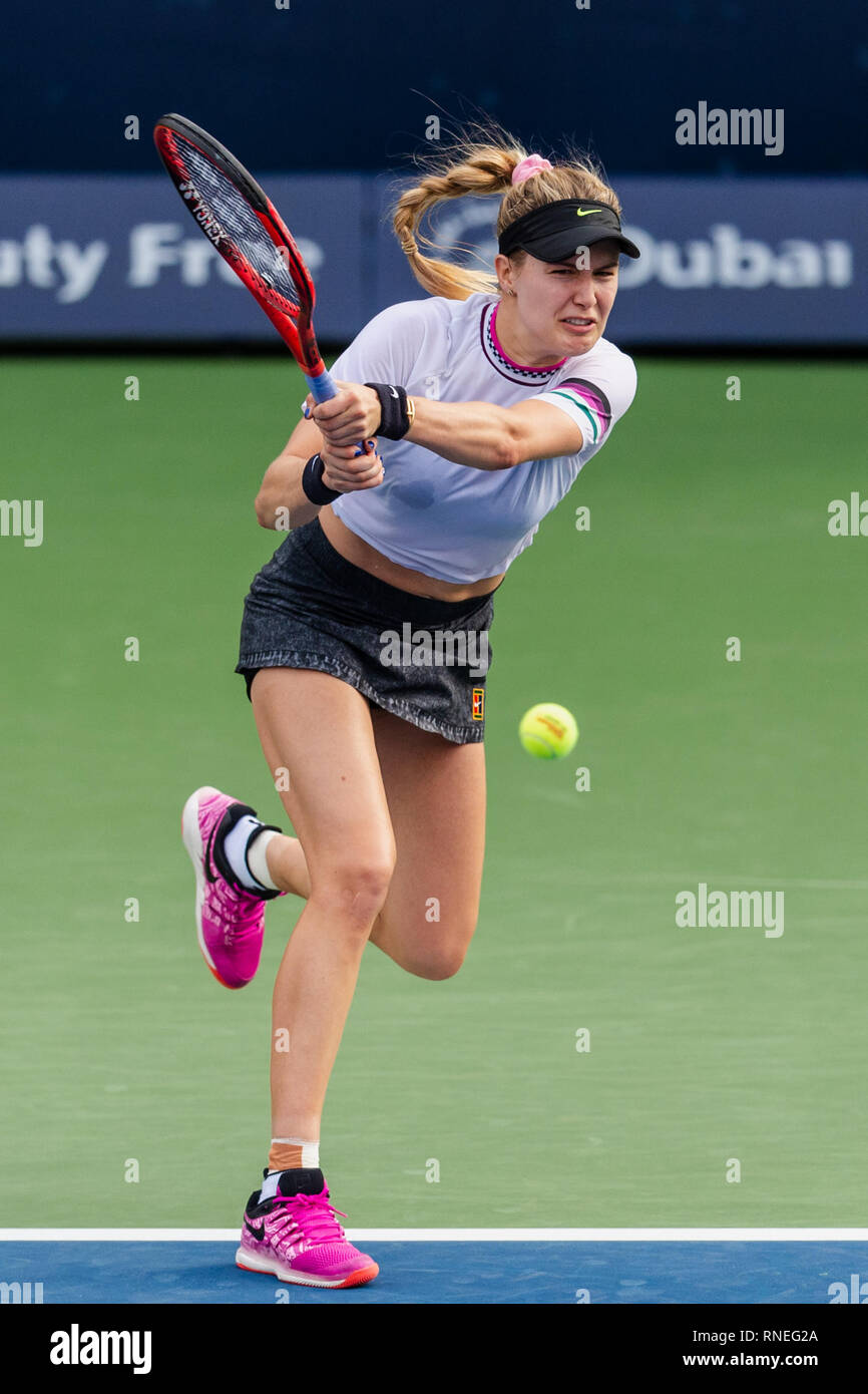 Dubaï, Émirats arabes unis. Feb 19, 2019. Eugénie Bouchard du Canada joue une balle dans le deuxième tour contre Simona de Roumanie : au cours de la Dubai Duty Free Tennis championnat au stade de tennis international de Dubaï, DUBAÏ, ÉMIRATS ARABES UNIS Le 19 février 2019. Photo de Grant l'hiver. Credit : UK Sports Photos Ltd/Alamy Live News Banque D'Images