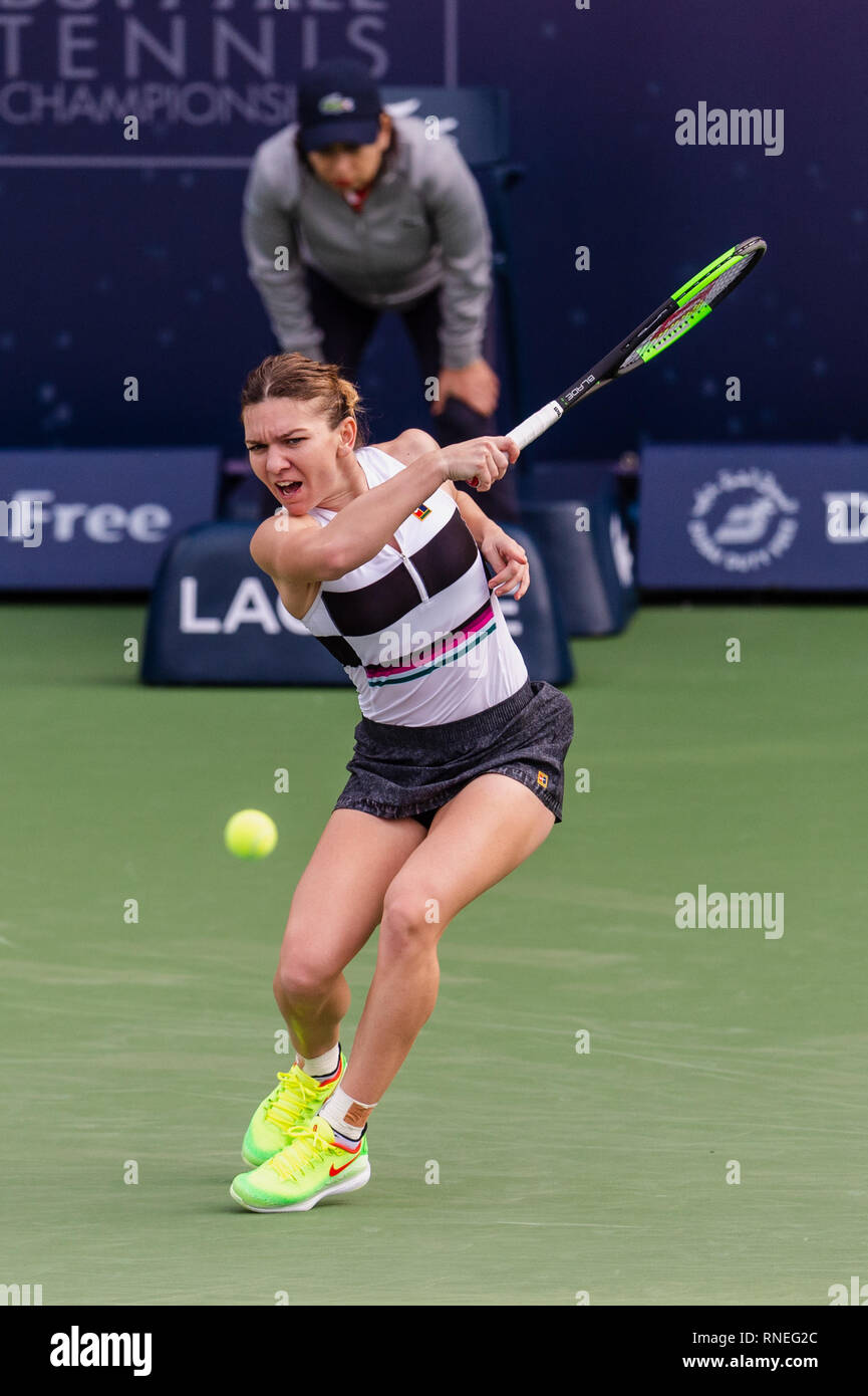 Dubaï, Émirats arabes unis. Feb 19, 2019. De la Roumanie : Simona en action dans le deuxième tour contre Eugenie Bouchard du Canada pendant le Dubai Duty Free Tennis championnat au stade de tennis international de Dubaï, DUBAÏ, ÉMIRATS ARABES UNIS Le 19 février 2019. Photo de Grant l'hiver. Credit : UK Sports Photos Ltd/Alamy Live News Banque D'Images