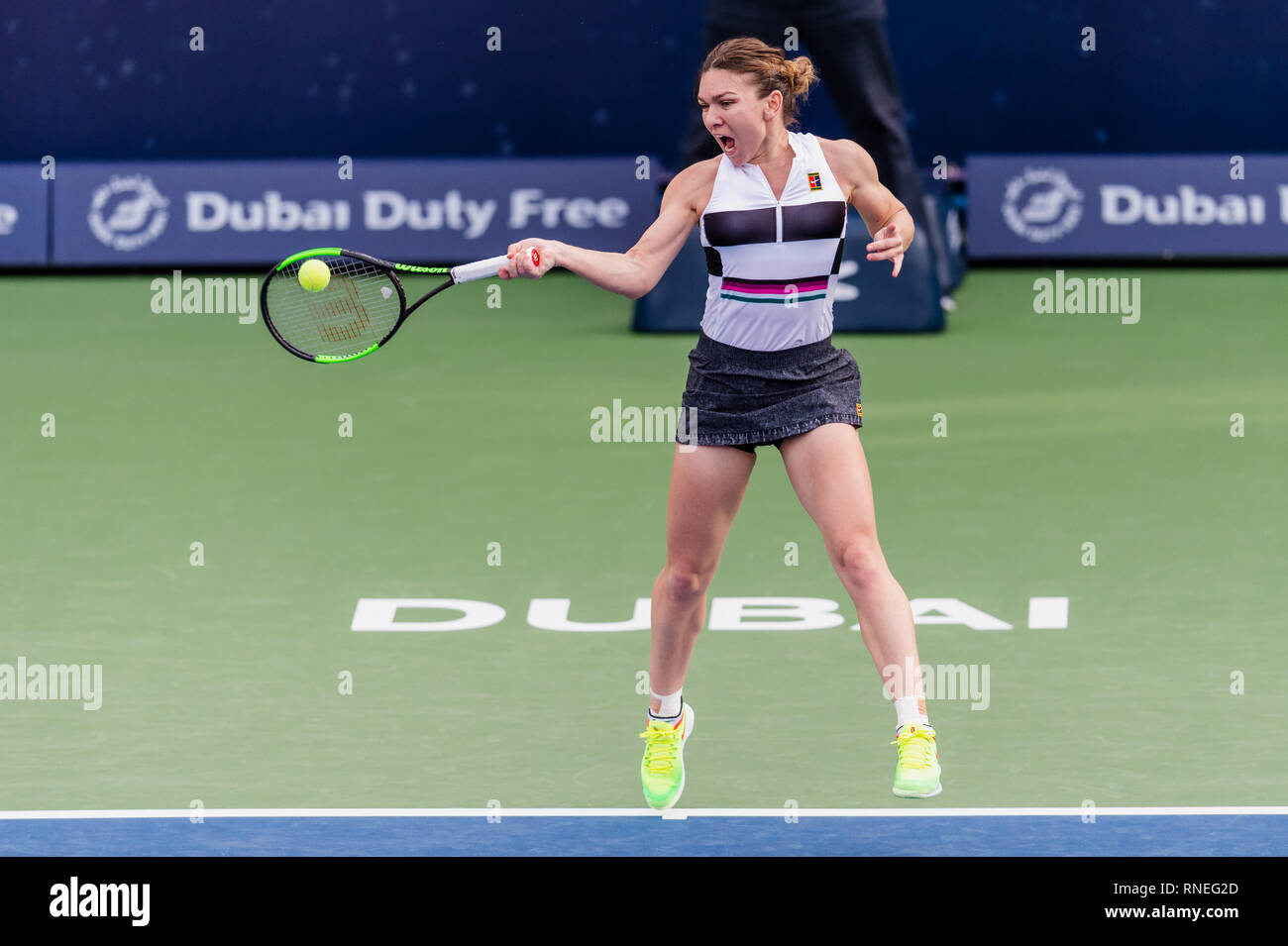Dubaï, Émirats arabes unis. Feb 19, 2019. De la Roumanie : Simona joue une balle dans le deuxième tour contre Eugenie Bouchard du Canada pendant le Dubai Duty Free Tennis championnat au stade de tennis international de Dubaï, DUBAÏ, ÉMIRATS ARABES UNIS Le 19 février 2019. Photo de Grant l'hiver. Credit : UK Sports Photos Ltd/Alamy Live News Banque D'Images