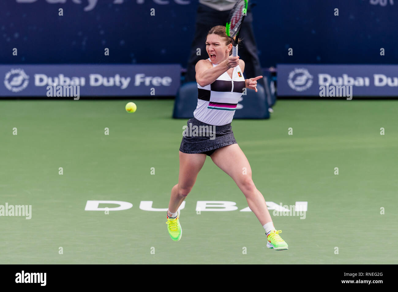 Dubaï, Émirats arabes unis. Feb 19, 2019. De la Roumanie : Simona en action dans le deuxième tour contre Eugenie Bouchard du Canada pendant le Dubai Duty Free Tennis championnat au stade de tennis international de Dubaï, DUBAÏ, ÉMIRATS ARABES UNIS Le 19 février 2019. Photo de Grant l'hiver. Credit : UK Sports Photos Ltd/Alamy Live News Banque D'Images