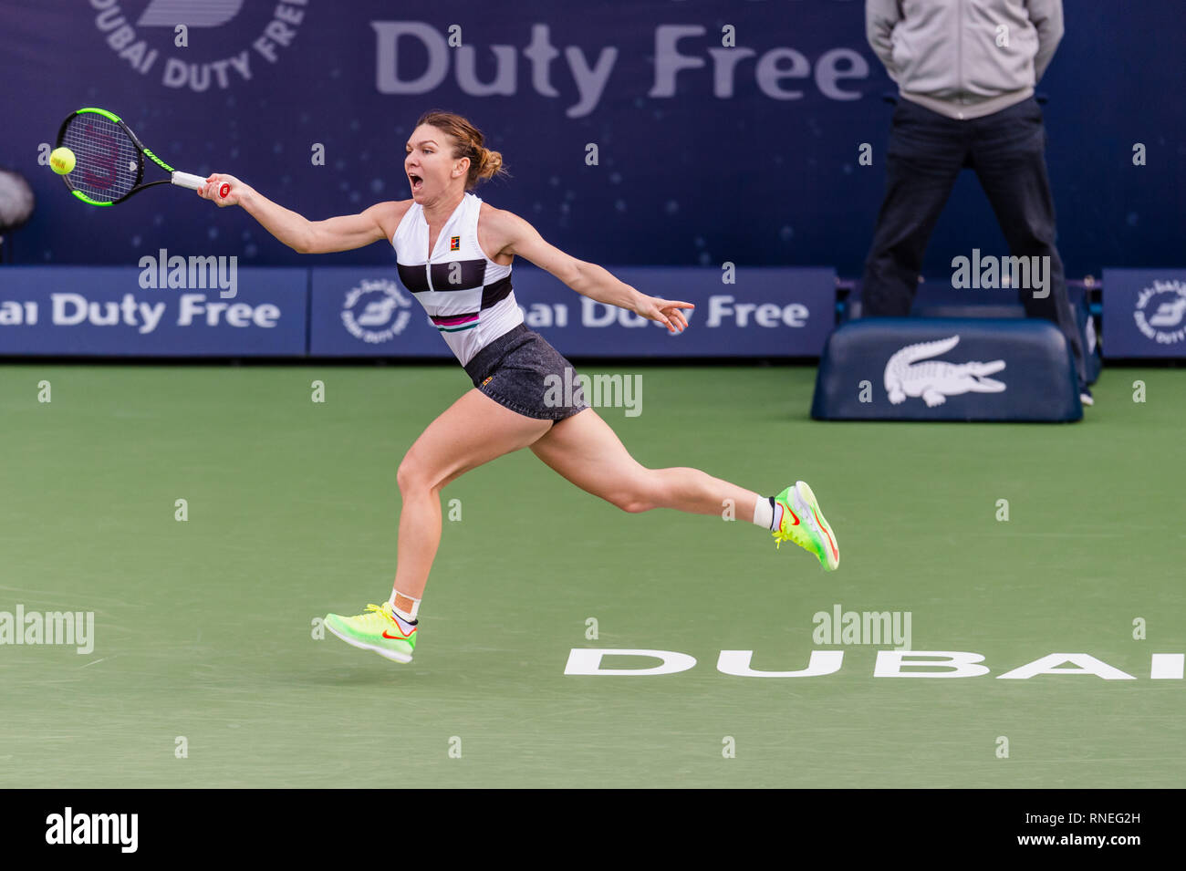 Dubaï, Émirats arabes unis. Feb 19, 2019. De la Roumanie : Simona joue un coup de coup droit dans le deuxième tour contre Eugenie Bouchard du Canada pendant le Dubai Duty Free Tennis championnat au stade de tennis international de Dubaï, DUBAÏ, ÉMIRATS ARABES UNIS Le 19 février 2019. Photo de Grant l'hiver. Credit : UK Sports Photos Ltd/Alamy Live News Banque D'Images