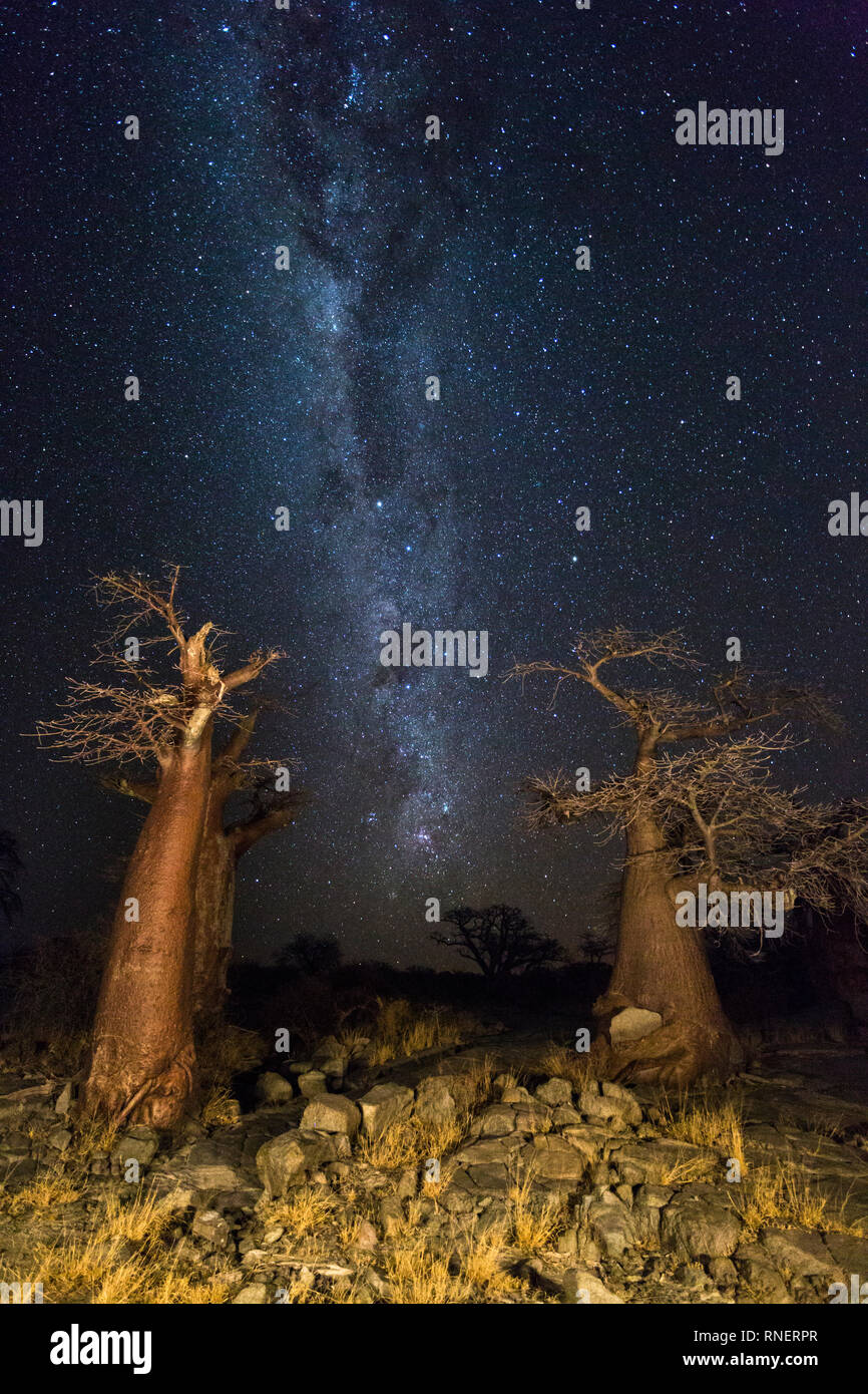 La Milkyway à Kubu Island Banque D'Images