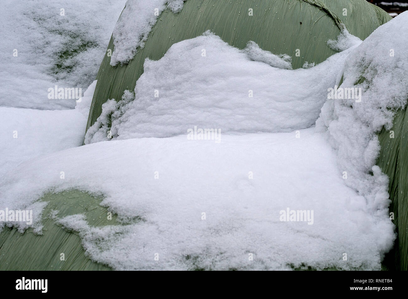 Tas de balles d'ensilage sur une ferme en hiver couverte de neige Banque D'Images