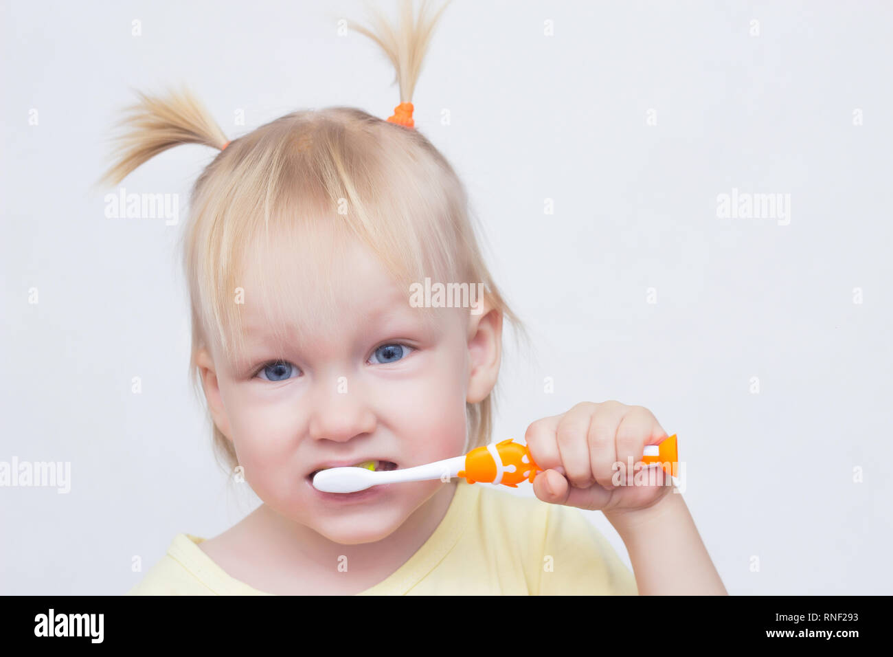 Portrait d'une petite fille blonde aux yeux bleus avec des nattes sur la tête qui brosse les dents avec une brosse à dents, close-up, fond blanc, copie de l'espace, Banque D'Images