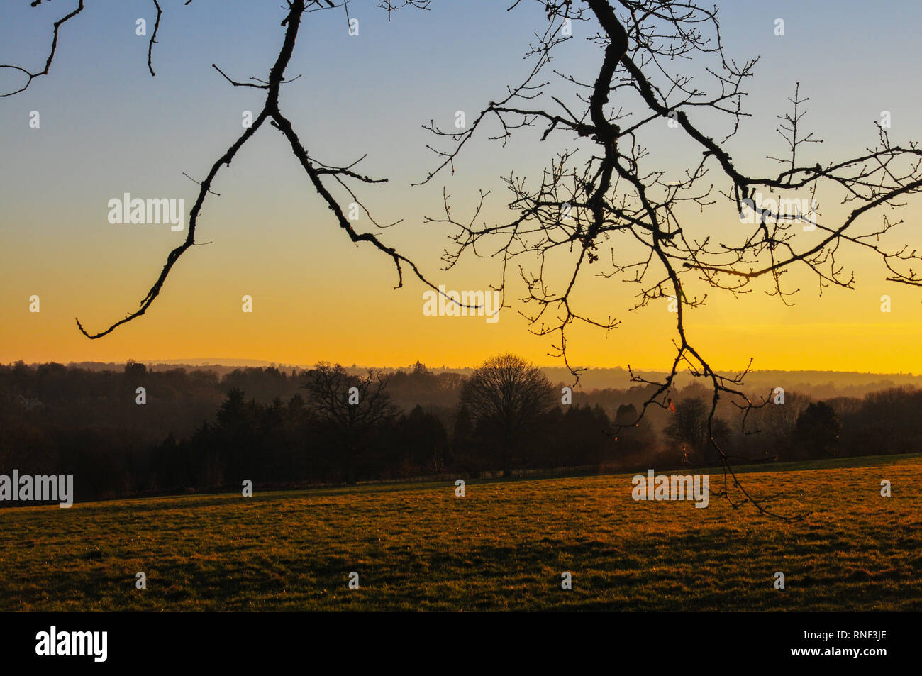 Coucher de soleil sur la campagne du Kent en Bidborough, Kent, Angleterre, Royaume-Uni. Banque D'Images