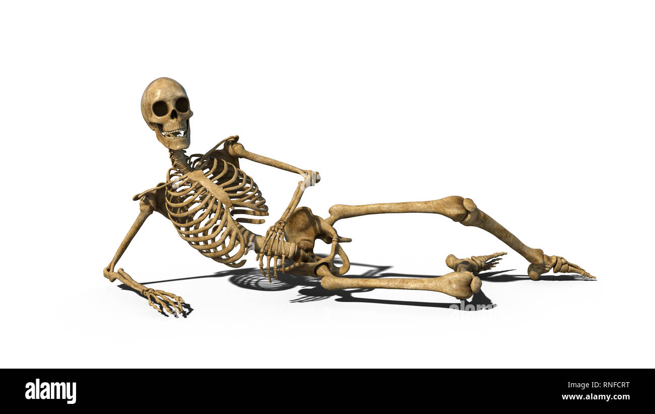 Drôle de pose sur le sol et squelette souriant, squelette humain isolé sur fond blanc, 3D Rendering Banque D'Images