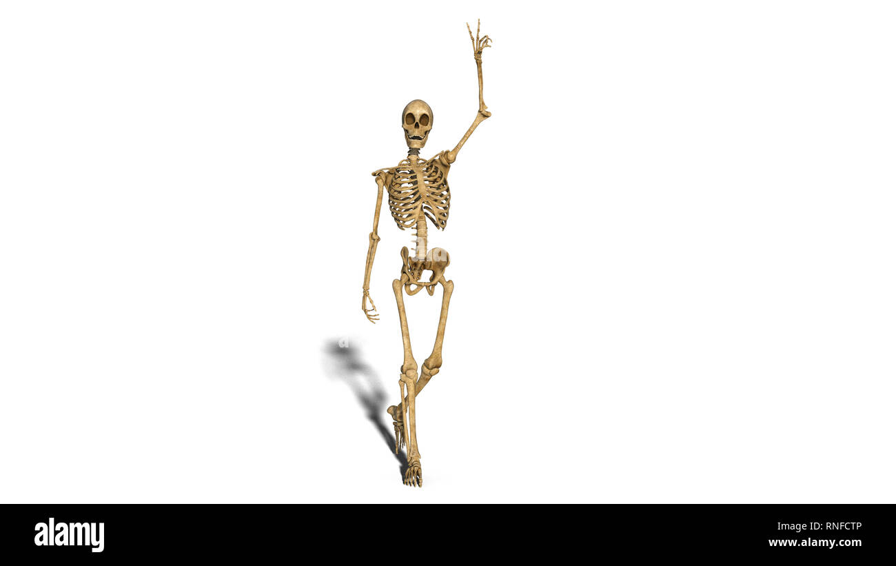 Drôle de sourire et de squelette montrant la victoire, la marche squelette humain isolé sur fond blanc, 3D Rendering Banque D'Images
