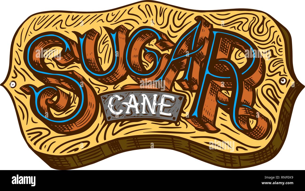Pancarte en bois de sucre de canne. La canne à sucre ou les tiges. Gravure à la main de l'alimentation et des ingrédients naturels. Illustration de Vecteur