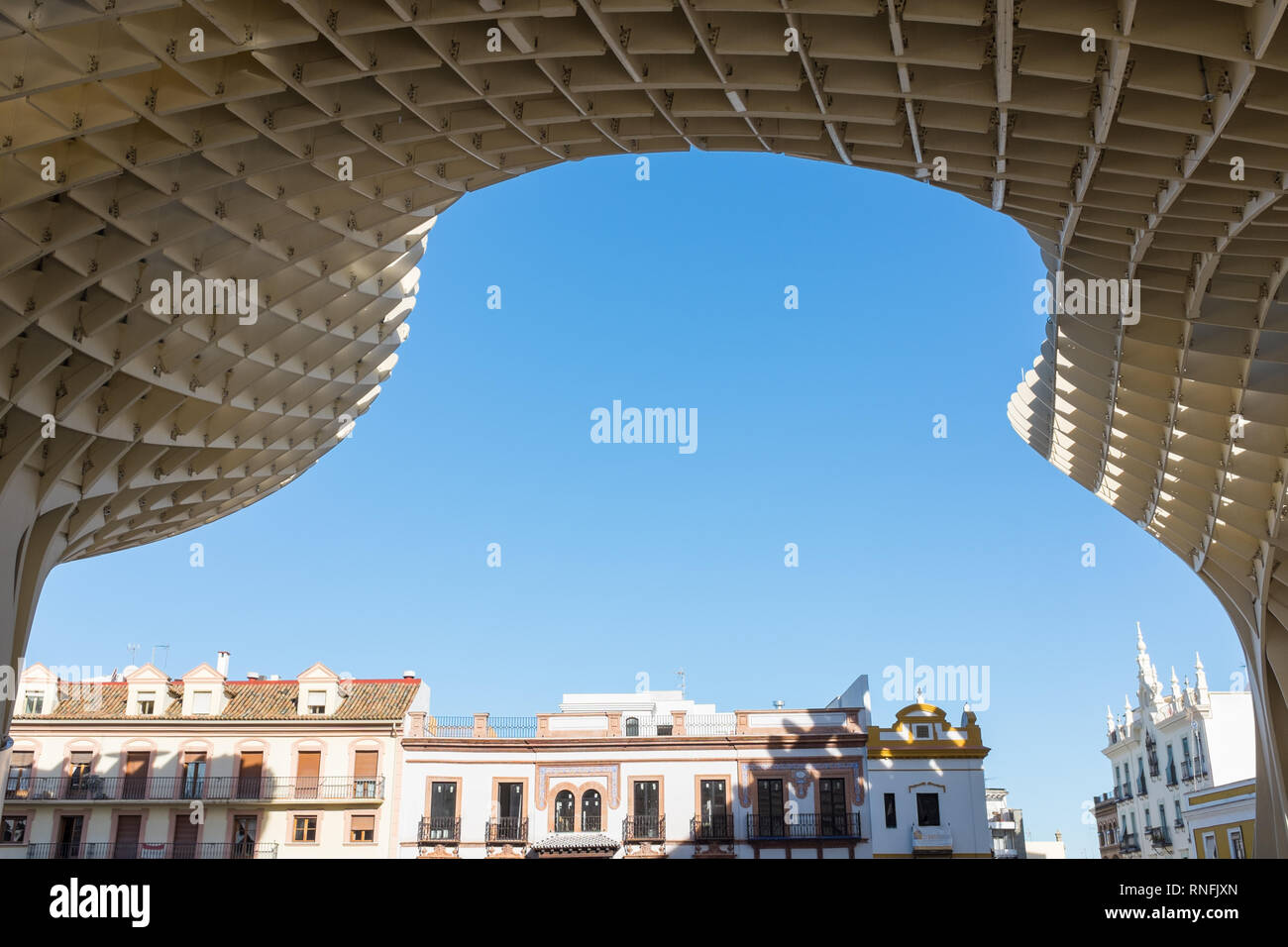 Sous Metropol parasol, une des plus grandes structures en bois jamais construit dans la ville espagnole de Séville, Andalousie Banque D'Images