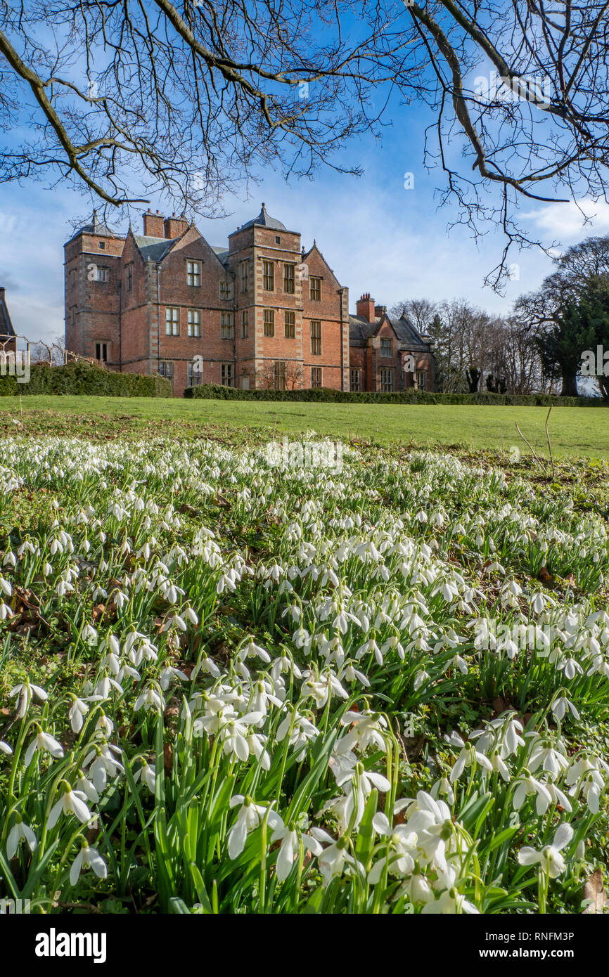 Kiplin Hall près de Scorton, Richmond, North Yorkshire à temps Snowdrop Banque D'Images