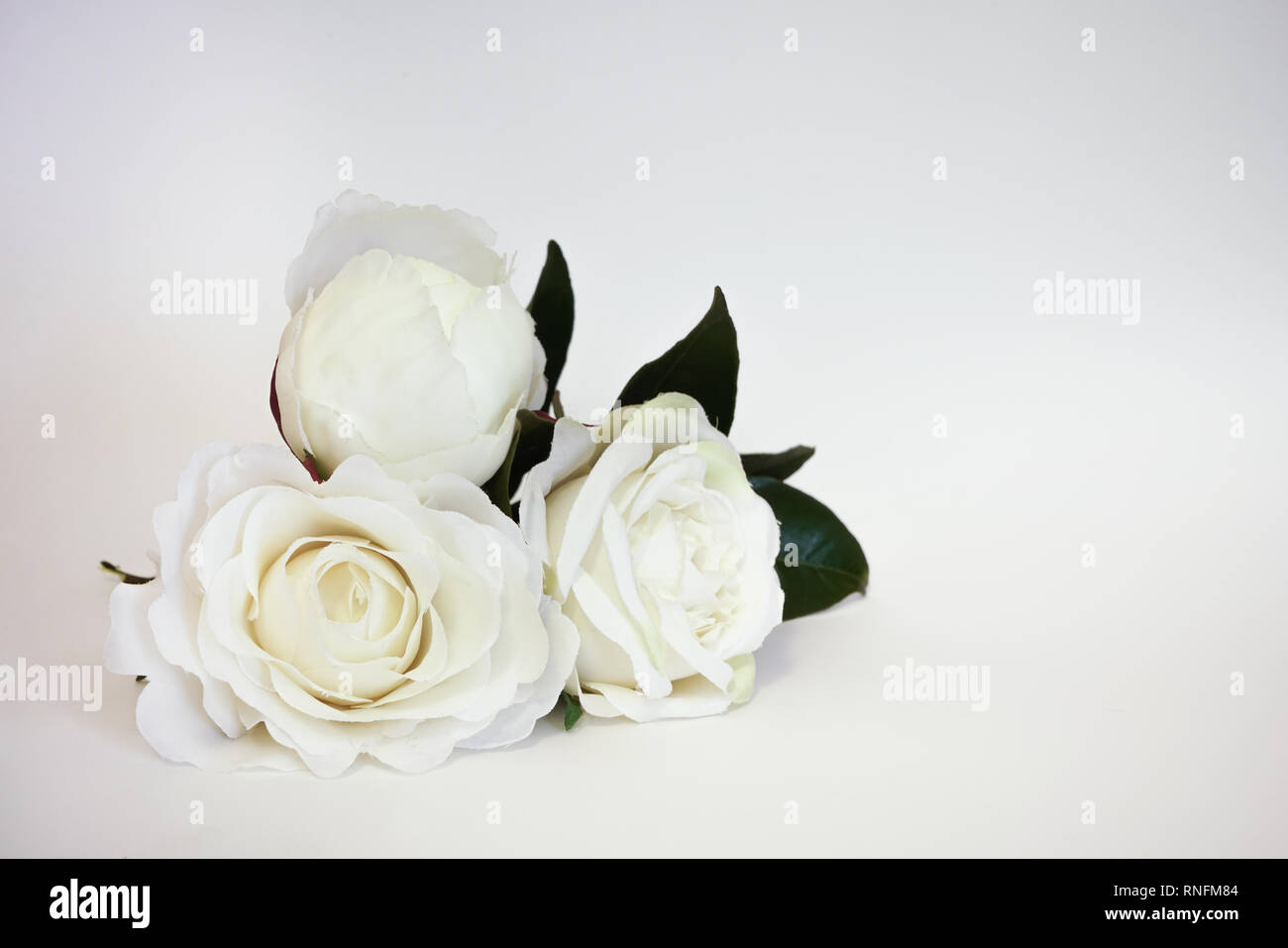 Belles roses blanches artificielles en fond blanc. Une célébration minimaliste avec copie espace. Banque D'Images