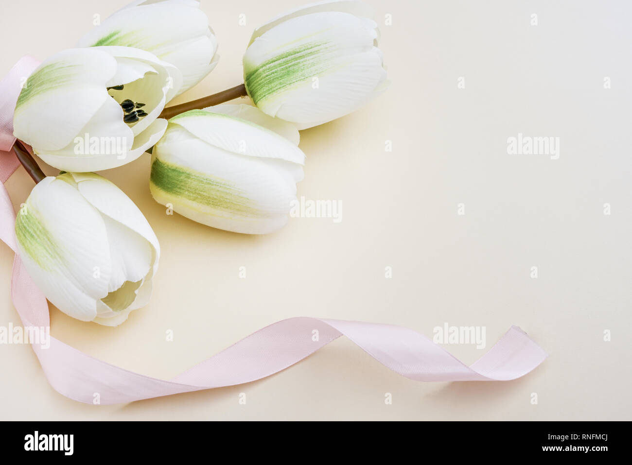 Beau fake tulipes blanches avec ruban rose pastel en arrière-plan. Concept pour une célébration de l'espace de copie. Banque D'Images