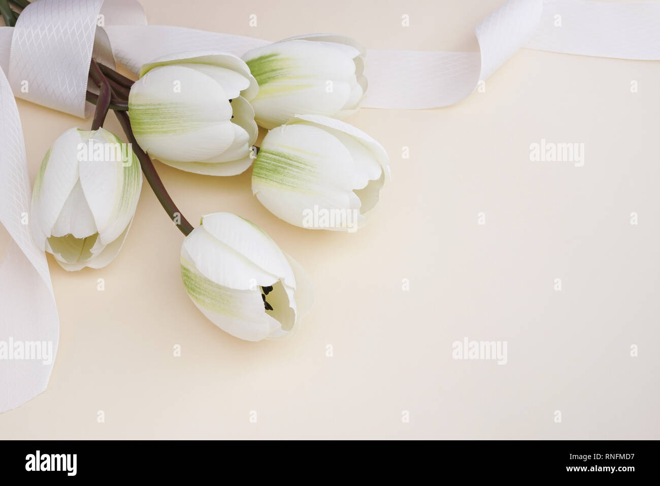 Beau fake tulipes blanches avec ruban dans l'arrière-plan de couleur pastel. Concept pour une célébration de l'espace de copie. Banque D'Images