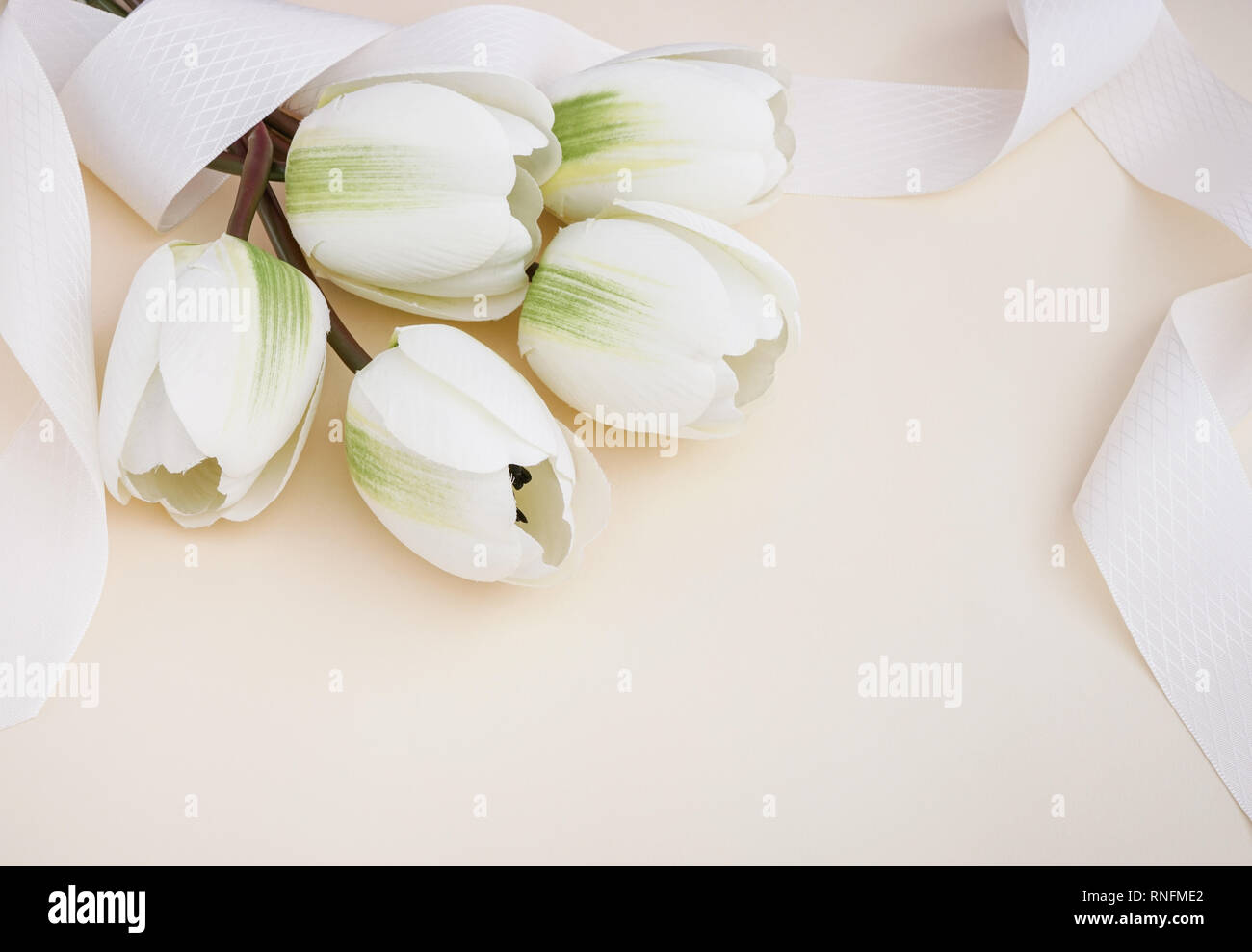 Beau fake tulipes blanches drapées de ruban dans l'arrière-plan de couleur pastel. Concept pour une célébration de l'espace de copie. Banque D'Images