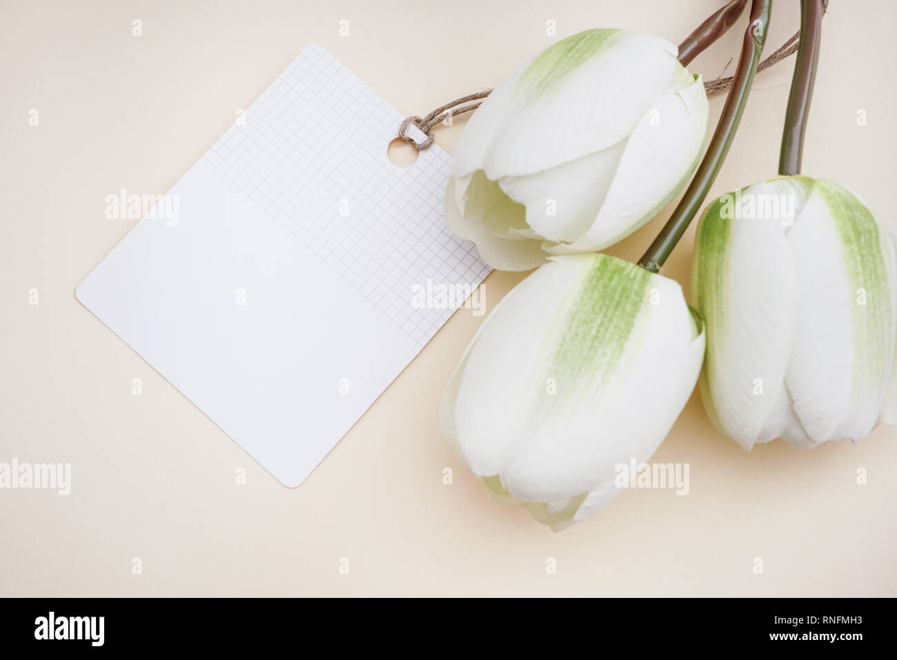Tulipes blanches artificielles avec carte de souhaits en arrière-plan de couleur pastel. Concept pour une célébration de l'espace de copie. Banque D'Images