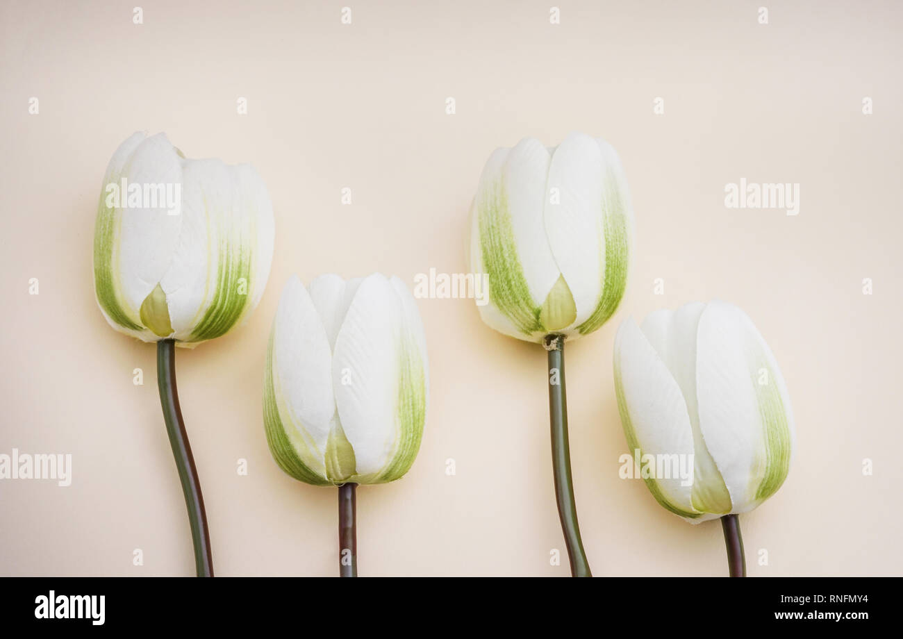 Cute quatre tulipes blanches artificielles dans des tons pastel arrière-plan. Concept pour une célébration. Banque D'Images