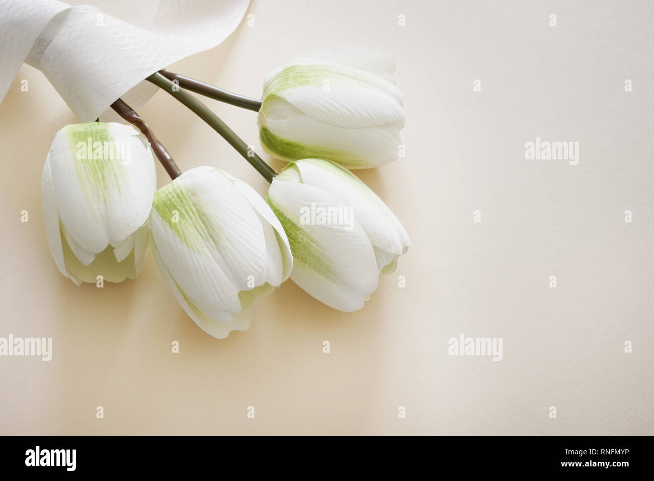 Magnifique bouquet de tulipes blanches faux enveloppé de ruban dans l'arrière-plan de couleur pastel. Concept pour la Fête des mères avec l'exemplaire de l'espace. Banque D'Images