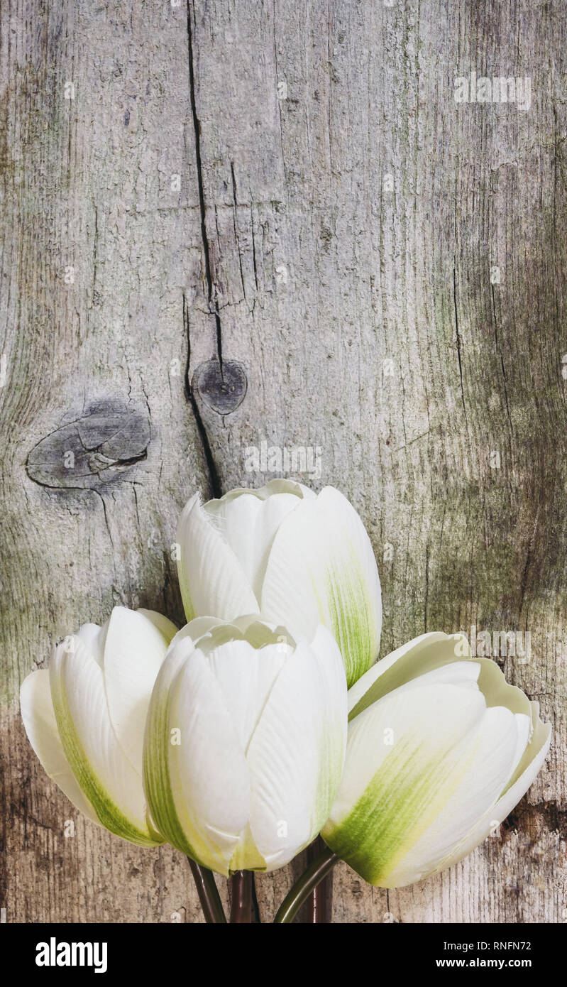 Magnifique bouquet de tulipes blanches artificielles en bois en arrière-plan. Concept de la Fête des mères avec l'exemplaire de l'espace. Banque D'Images