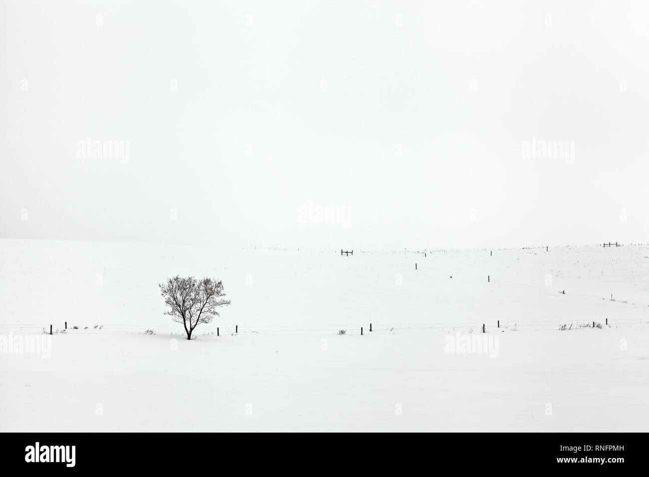 Neige et clôture en pays agricole de la vallée de la Mohawk, l'État de New York, USA. Banque D'Images