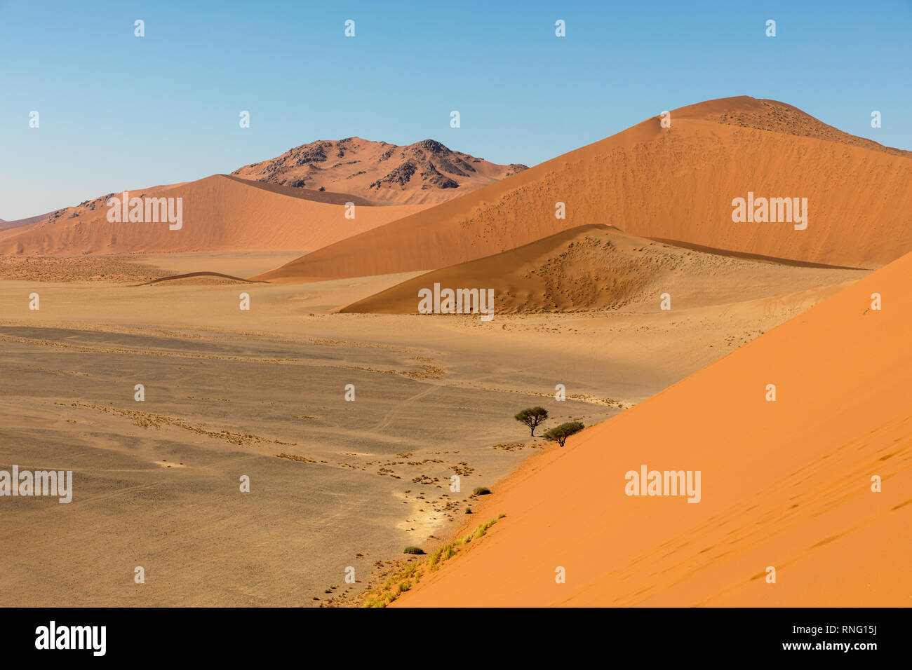 Paysage africain, de belles dunes de sable rouge appelé Dune 47 dans le Namib Naukluft national park, Sossusvlei, Namibie Banque D'Images