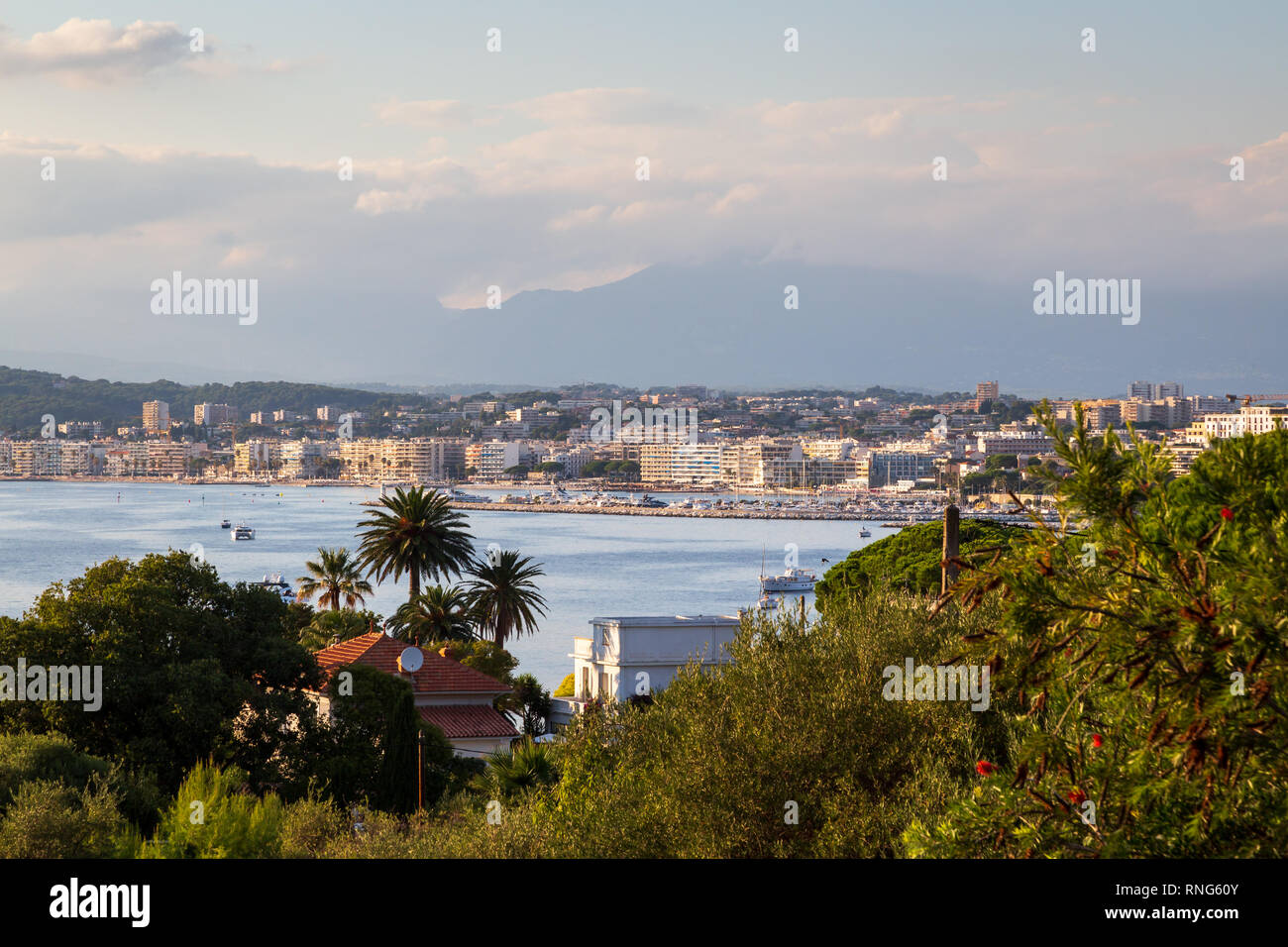 Vue du Cap d'Antibes (Cap d'Antibes Juan les Pins) vers la partie d'Antibes de l'autre côté de la mer en été. Antibes, France Banque D'Images